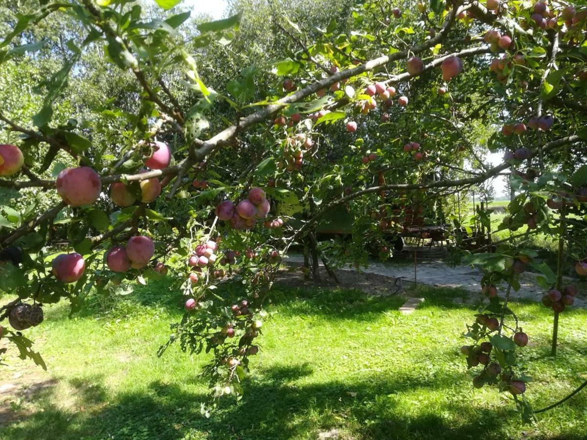 Vegawagen Psyche, Een Sprookje In Куворден Экстерьер фото